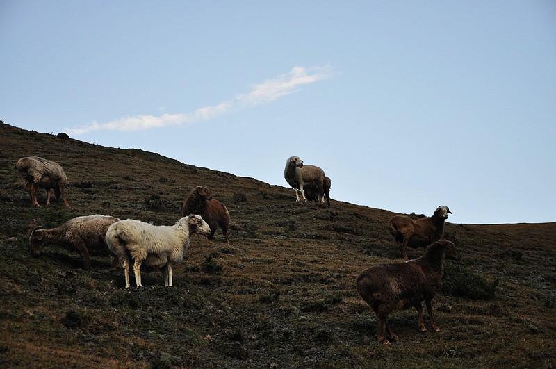 dsc_0880.jpg