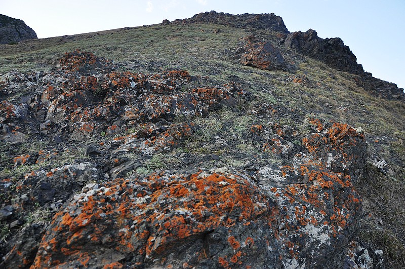 dsc_0897.jpg