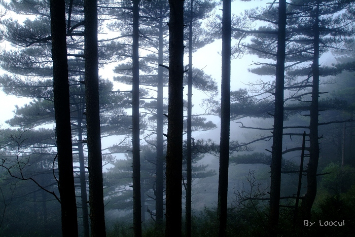 dscf0125.jpg
