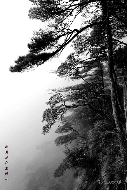 dscf0096.jpg