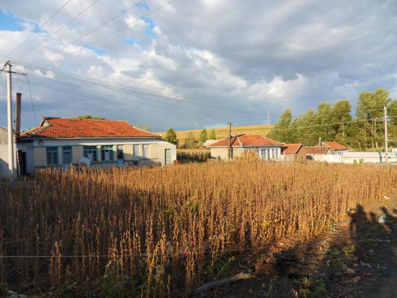 sdc10586.jpg