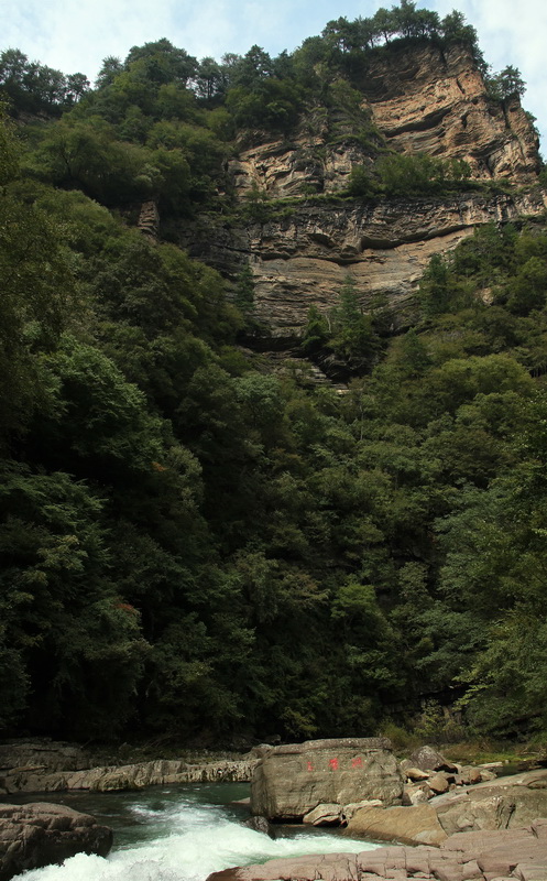 z96.jpg