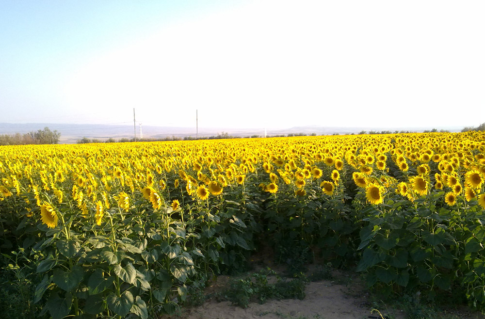 201107291973.jpg