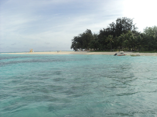 dsc02560.jpg