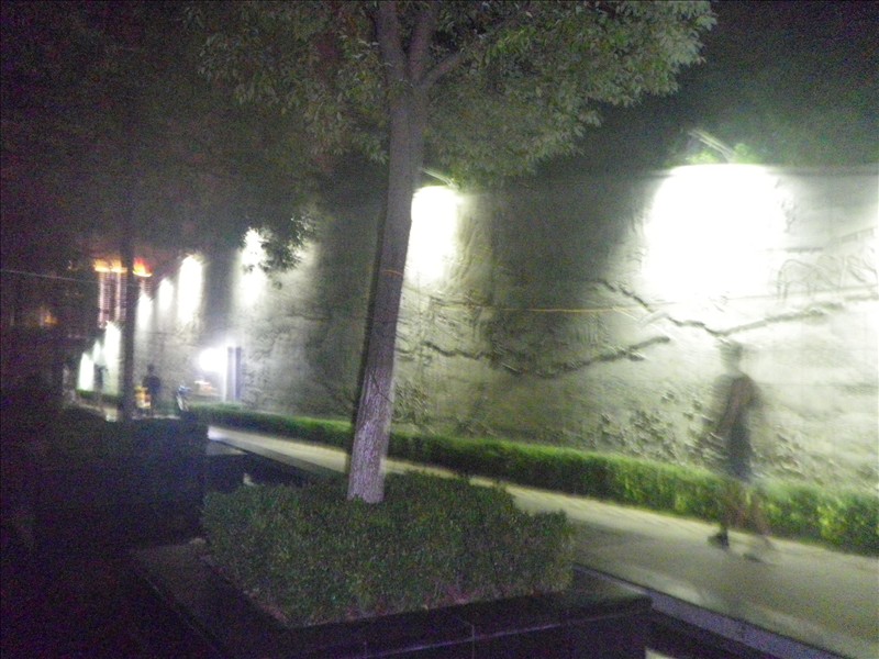 imgp1293.jpg