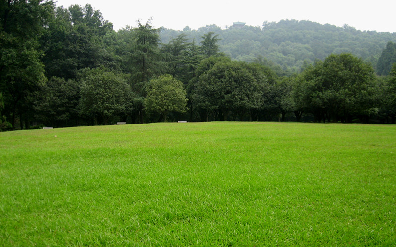 img_2420_1.jpg