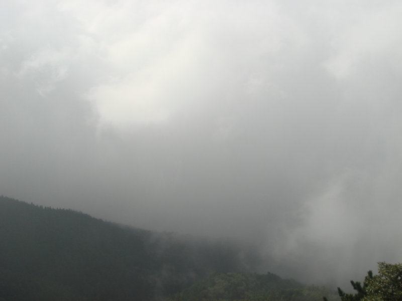 dsc08676.jpg