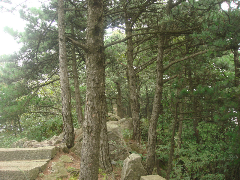 dsc08684.jpg