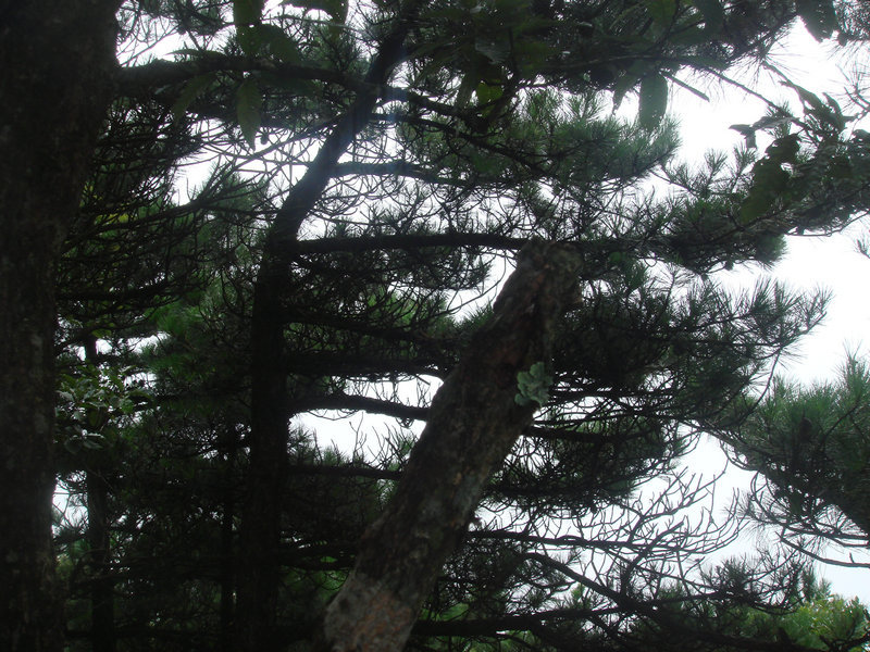 dsc08683.jpg