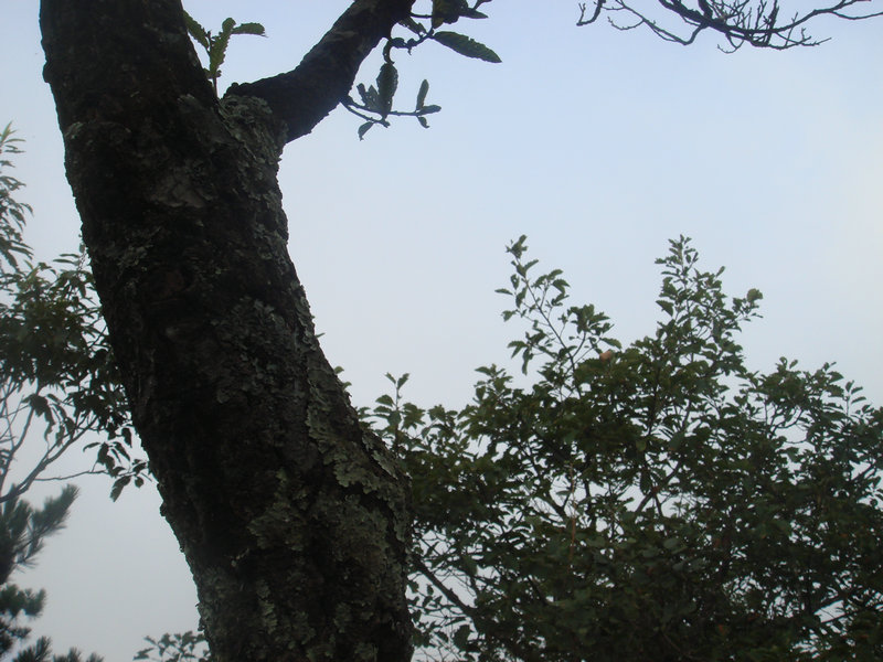 dsc08686.jpg