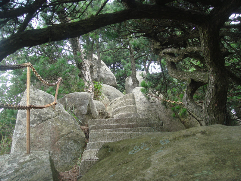 dsc08698.jpg