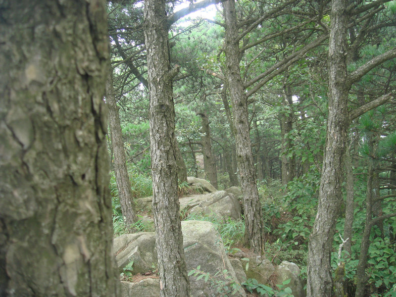 dsc08685.jpg
