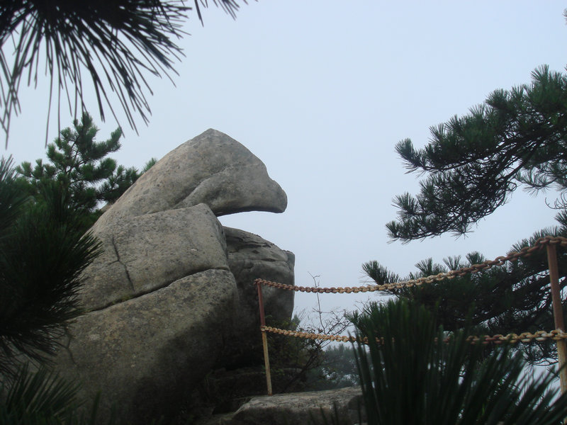 dsc08737.jpg