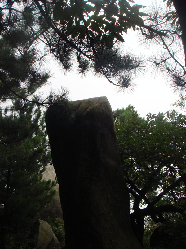 dsc08797.jpg