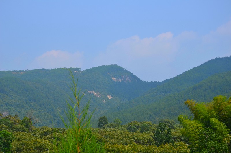 dsc_0647_.jpg