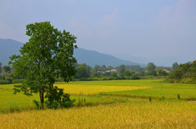 dsc_0835_.jpg