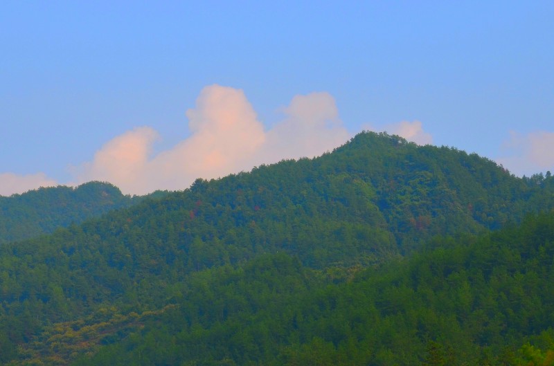 dsc_0905_.jpg