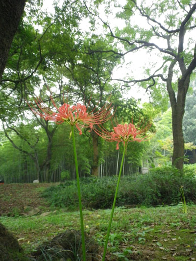 imgp3416.jpg