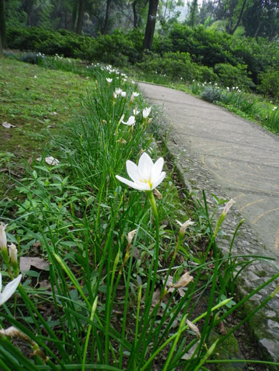 imgp3412.jpg