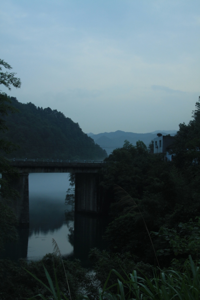 img_8739.jpg