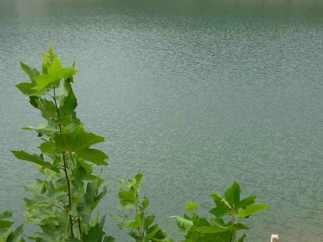С p1010037.jpg