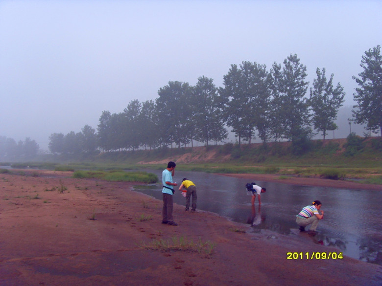 sdc12774_.jpg