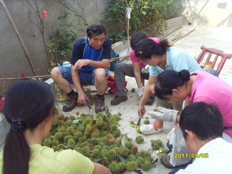 sdc12735_.jpg