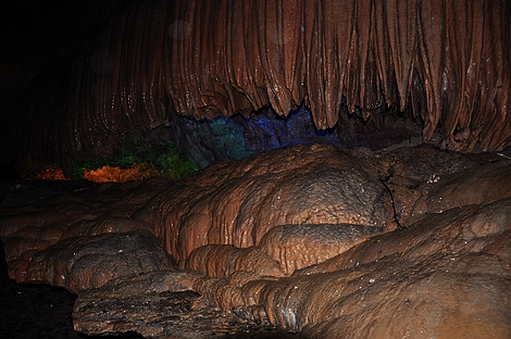 dsc_0779.jpg