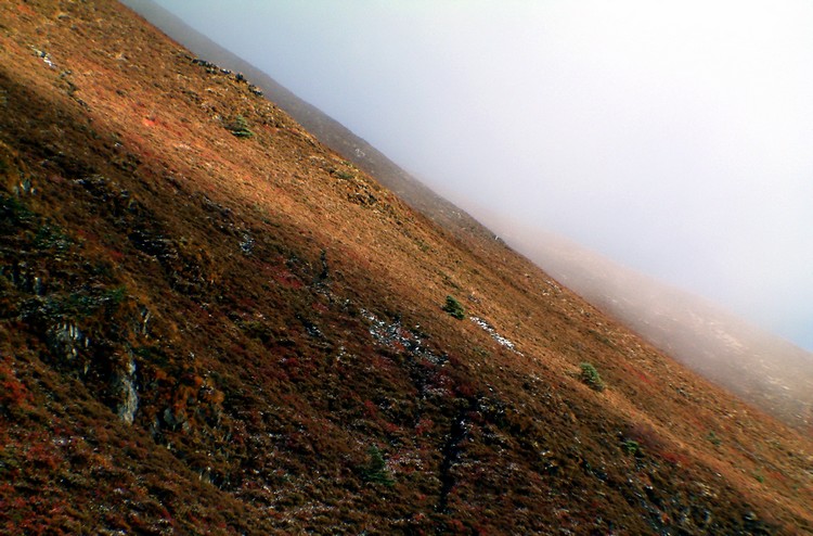dscf0414.jpg