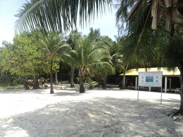 dsc02719.jpg