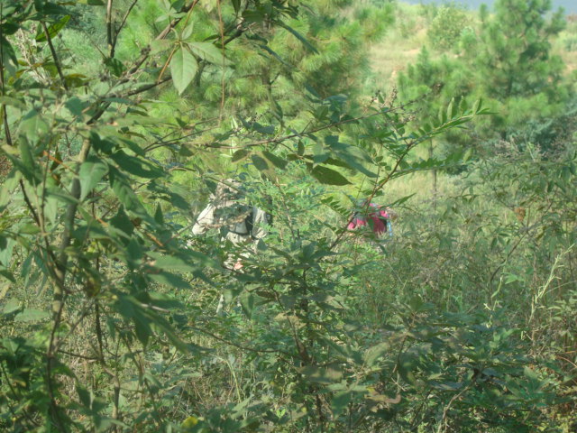 dsc09856.jpg