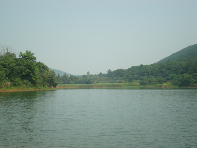 dsc09932.jpg