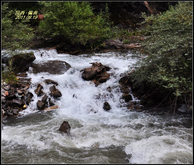 dsc_0432.jpg