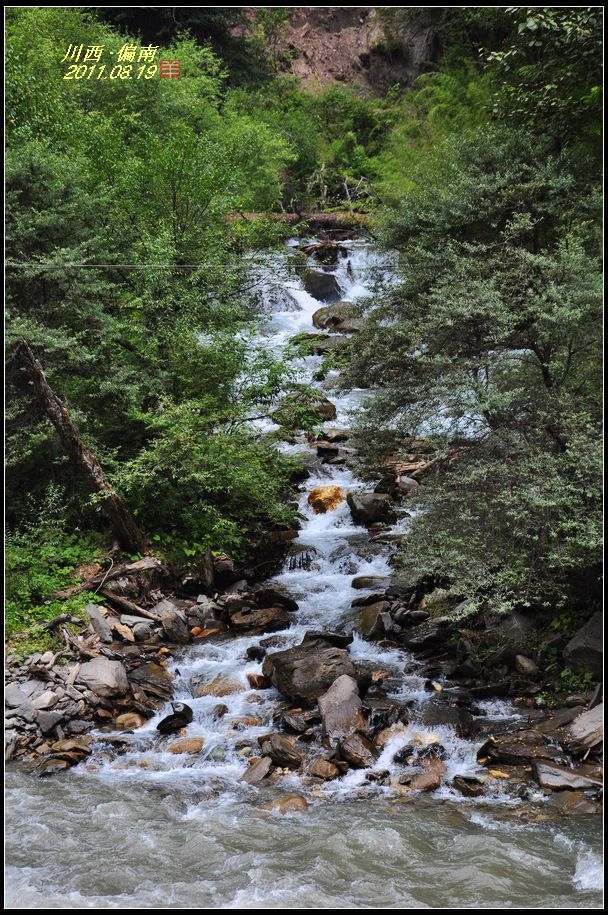 dsc_0435.jpg