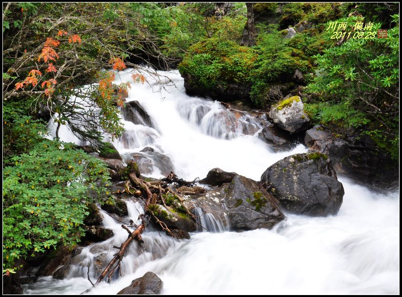 dsc_0492.jpg