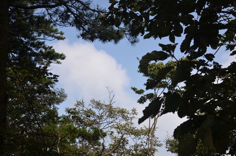 dsc_1072_.jpg