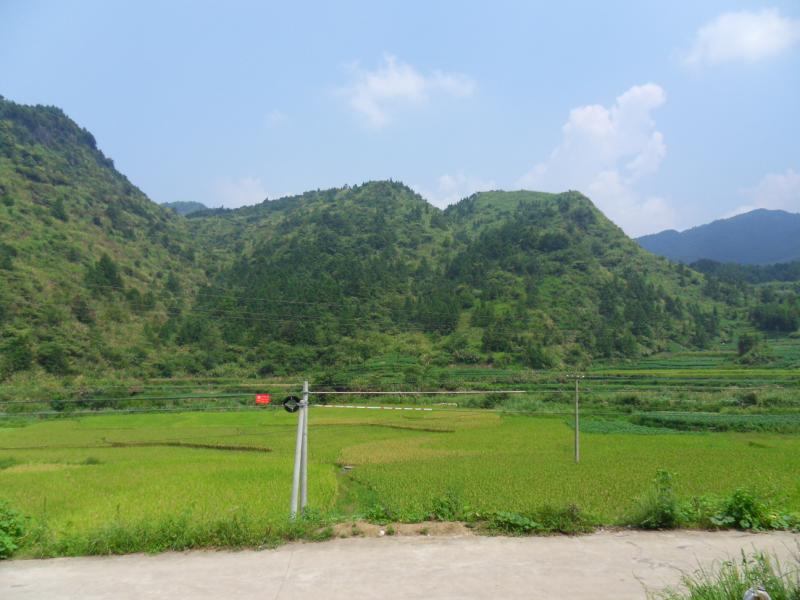 sdc10068.jpg