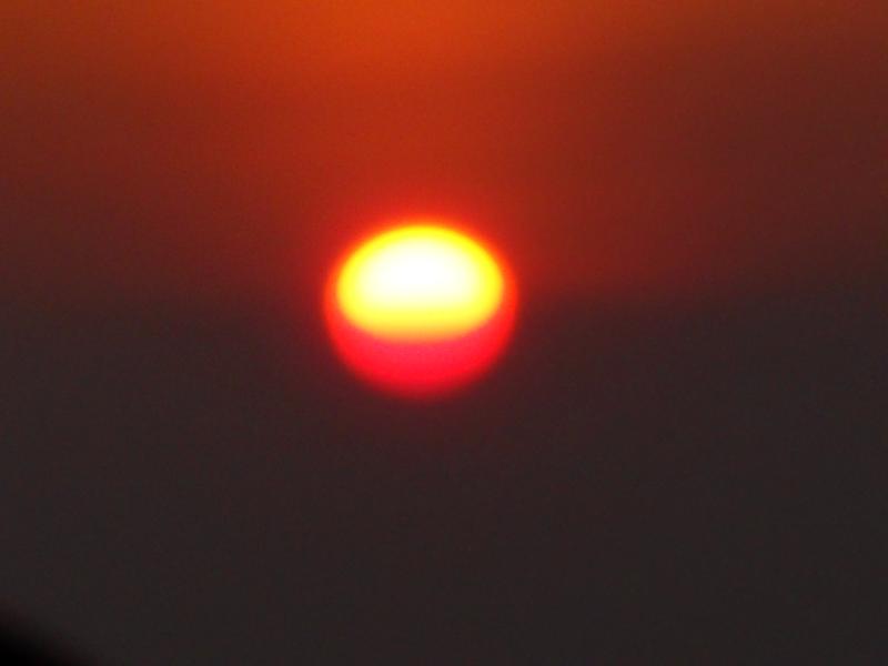 sdc10091.jpg