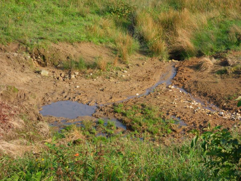 sdc10093.jpg