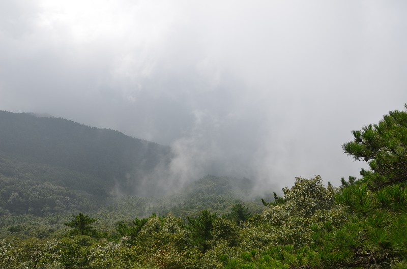 dsc_1158_.jpg
