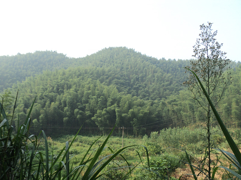 dsc05879_.jpg