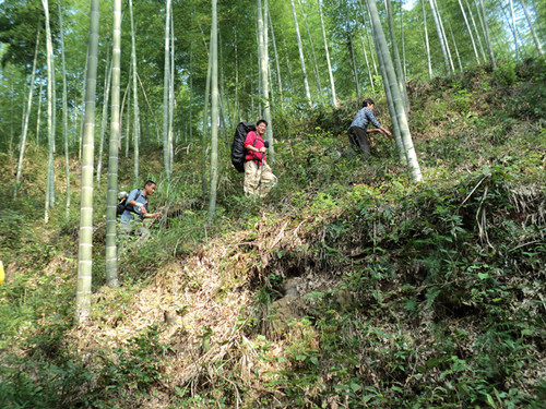dsc05881__.jpg