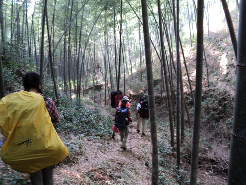 dsc05886_.jpg