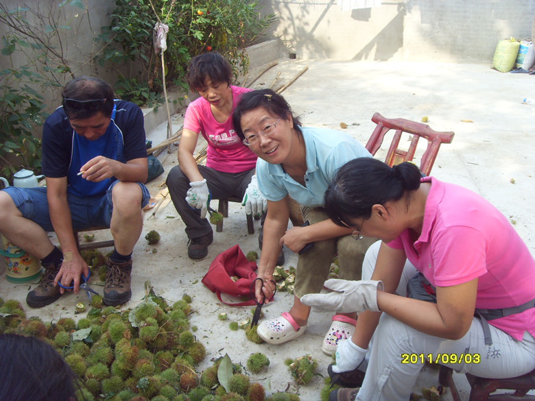 sdc12734_.jpg
