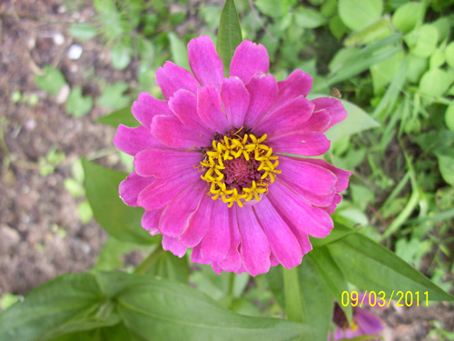 100_5932_.jpg