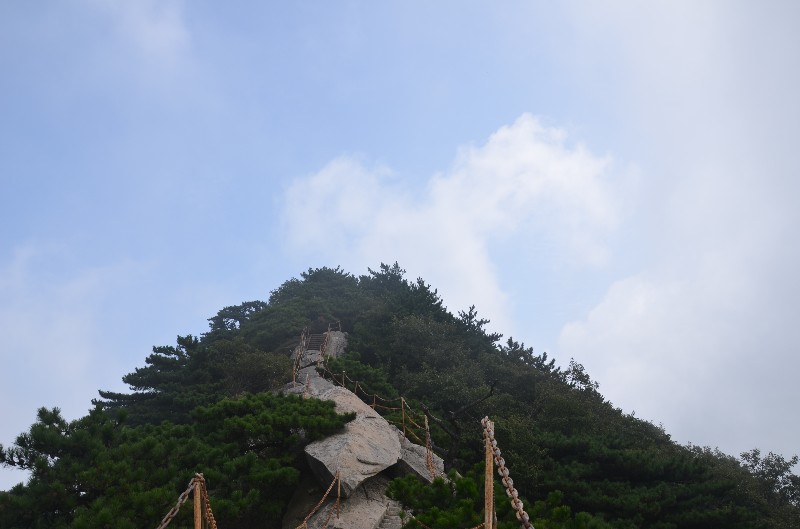 dsc_1191_.jpg