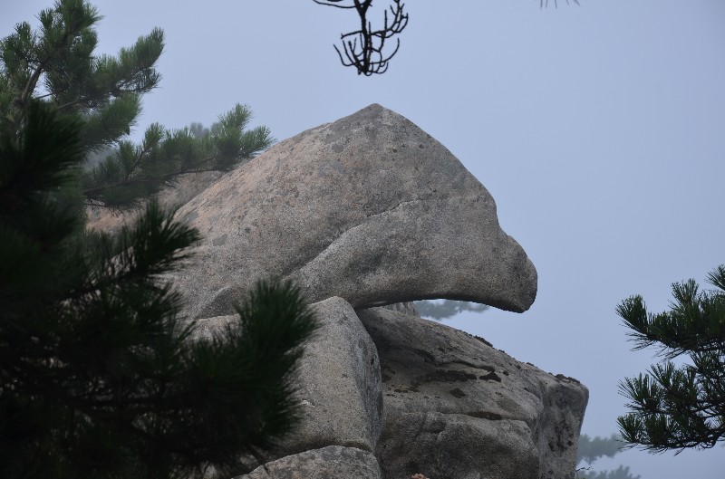 dsc_1197_.jpg
