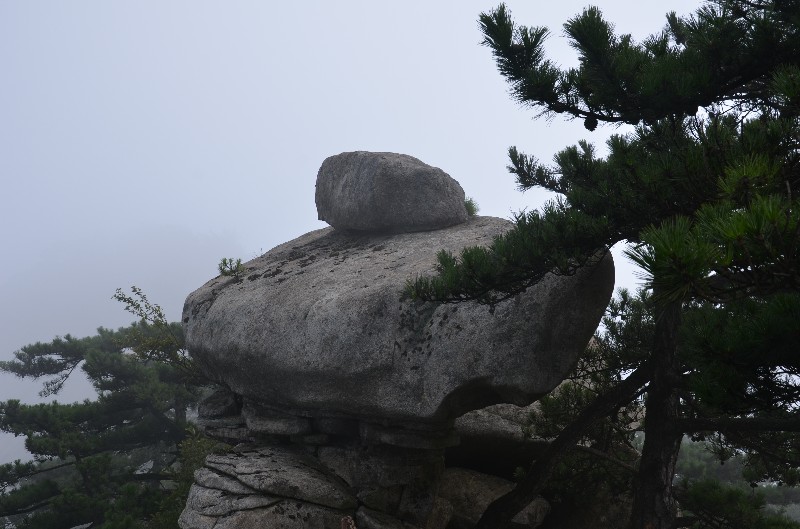 dsc_1198_.jpg