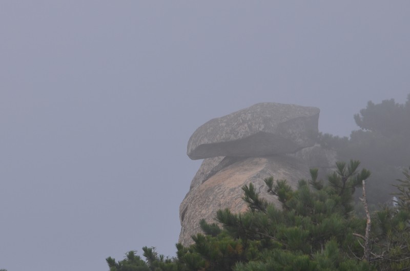 dsc_1204_.jpg