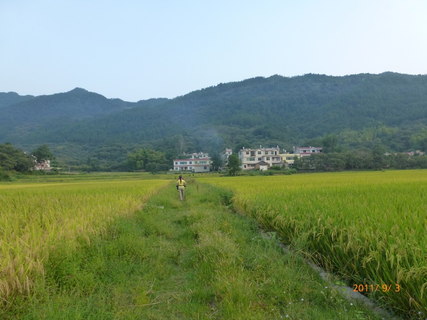 p1010216.jpg